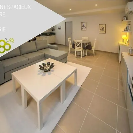 Spacieux - Hypercentre - Wifi - Lejlighed Gaillac