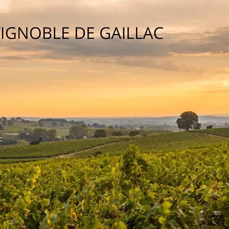 Lejlighed Spacieux - Hypercentre - Wifi - Gaillac